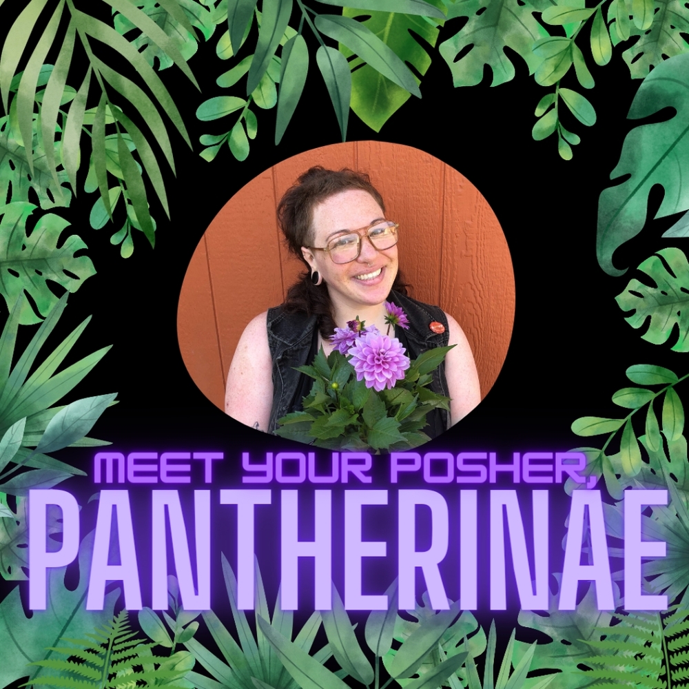 Meet your Posher: PANTHERINAE!